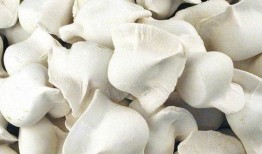 速冻水饺爆料配方视频,揭秘视频曝光的独家秘籍